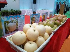 棬 ӱйʹչ