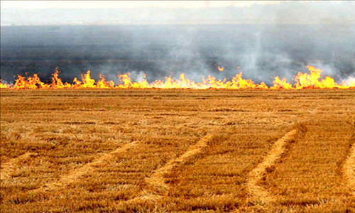 �人���������Ƴ��ոѷ���ªϰ ��ס����ˮ����