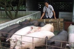 ��ũ�壺ũҵֱ��������ũ��ѡ���ٽ��Ǵ򹤣�