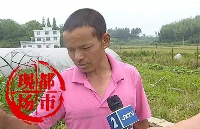 Ƽ磺ضͯȻ
