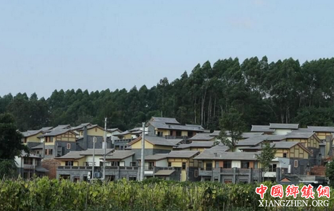 ��ƶ�Ȱ��� �Ĵ��´彨����д��ƪ