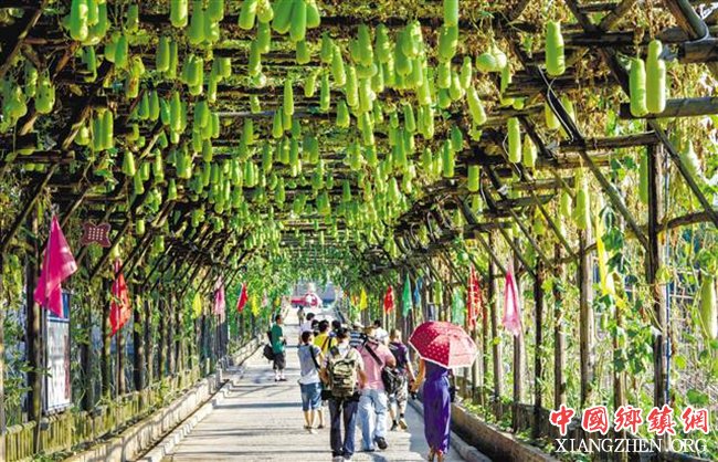 ���죺�뽭 �����˾���ҵ�����������