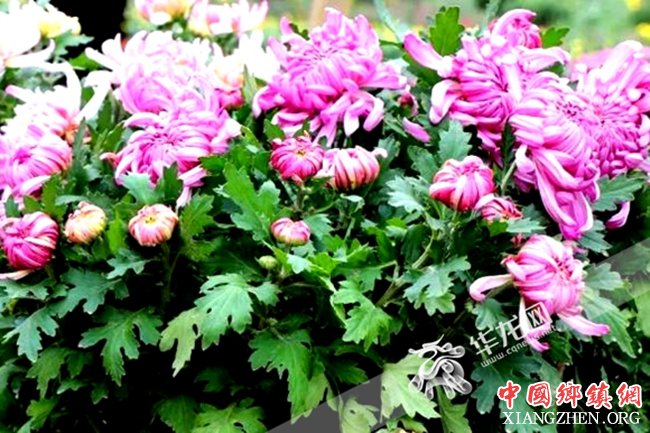 ���죺��ĩ����������;�չ 21����������ḻ�