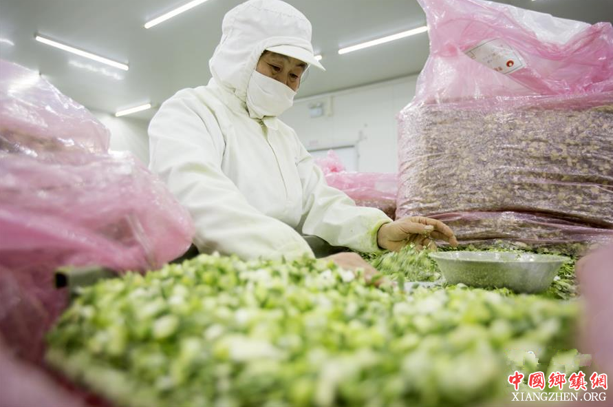 ����̩�ݣ��˻���в�������