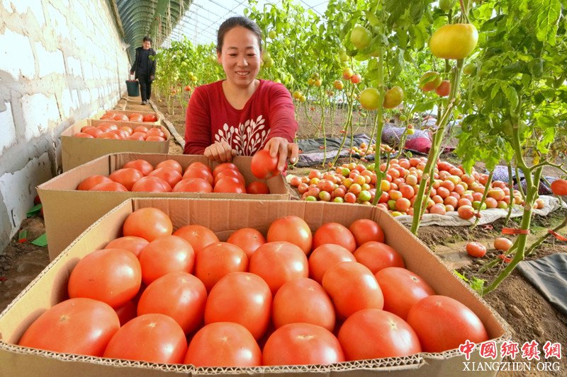 �ӱ����󣺺����������������