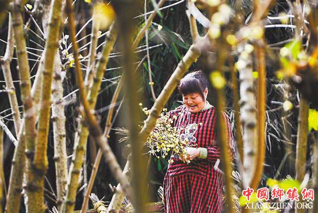 ���챱�գ�һ����÷�� ����6��Ԫ