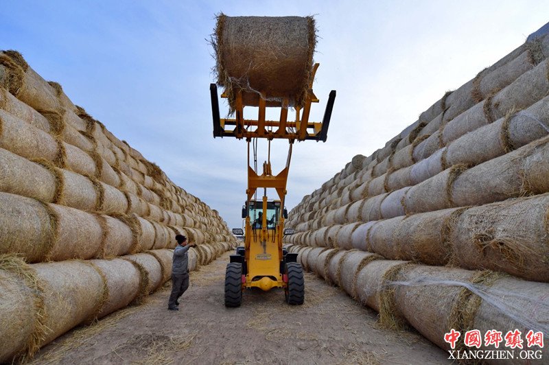 �ӱ���ɽ���ոѻ������� ��������������