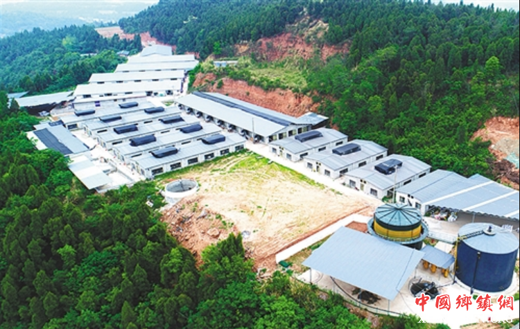 ����ߺ��������֮·