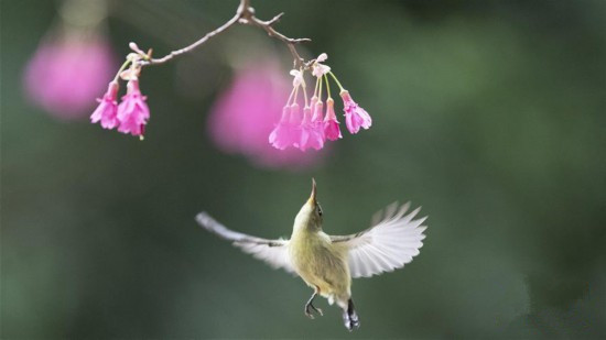 ��β̫������ͣ����