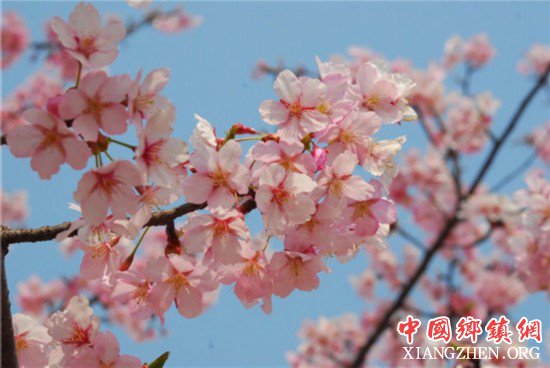 ����ƫů���� �Ϻ��紺����ӣ����¶����