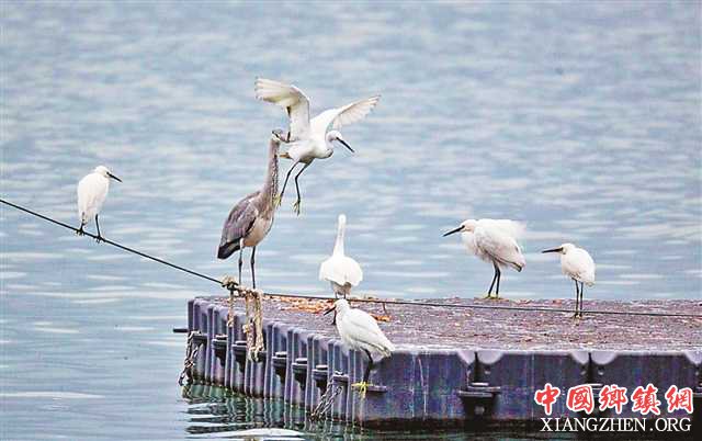 ���ش��쳤���������