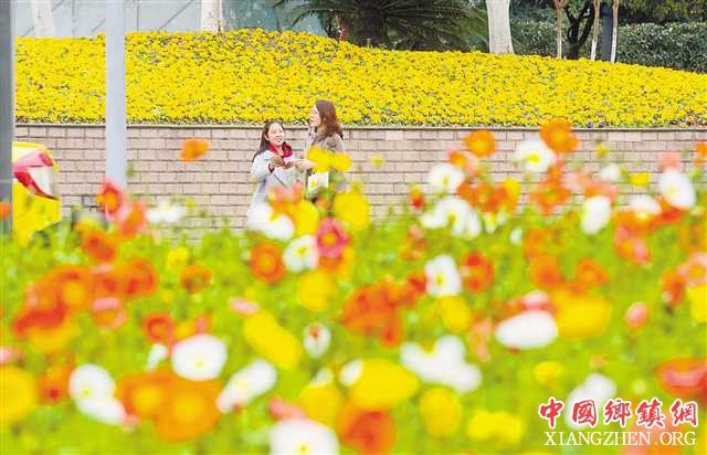 ���콭�����ʻ������ֵ�