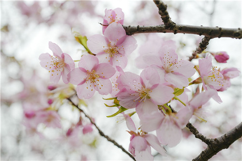 �����ӽ�ӣ����ӣ����Ʒ �Ϻ�ӣ����3��15�տ�Ļ