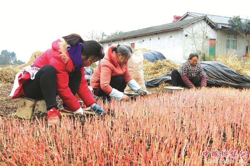 �Ĵ�����������һ���ݵ��¸���