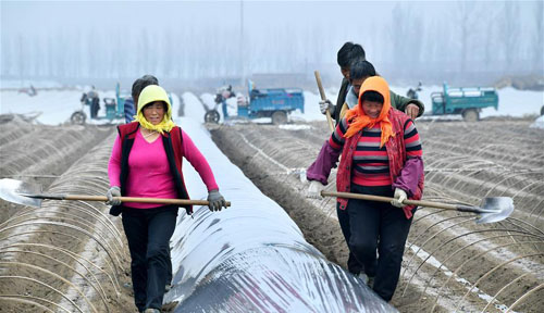 ����ũ��æ