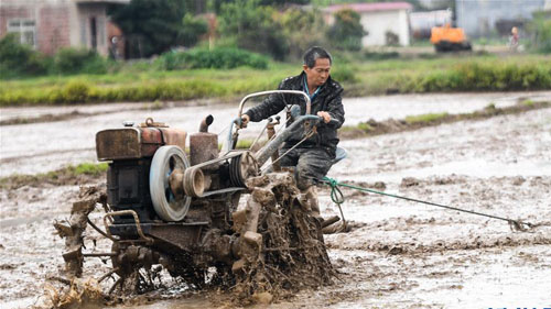 ����βůͷ��æ����