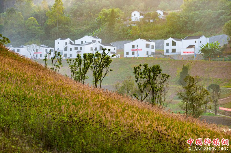 �Ĵ����Թ���������������չ���������á�