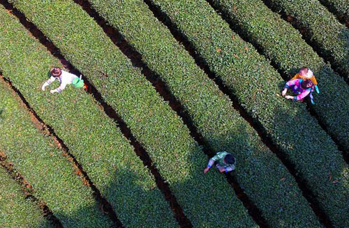 �����Ͷ�æ