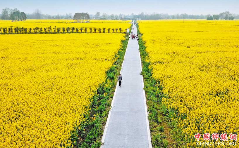 �ɶ��½��������̵����˻��� �Ӳ����