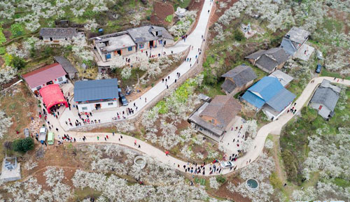 ���ӻ��������