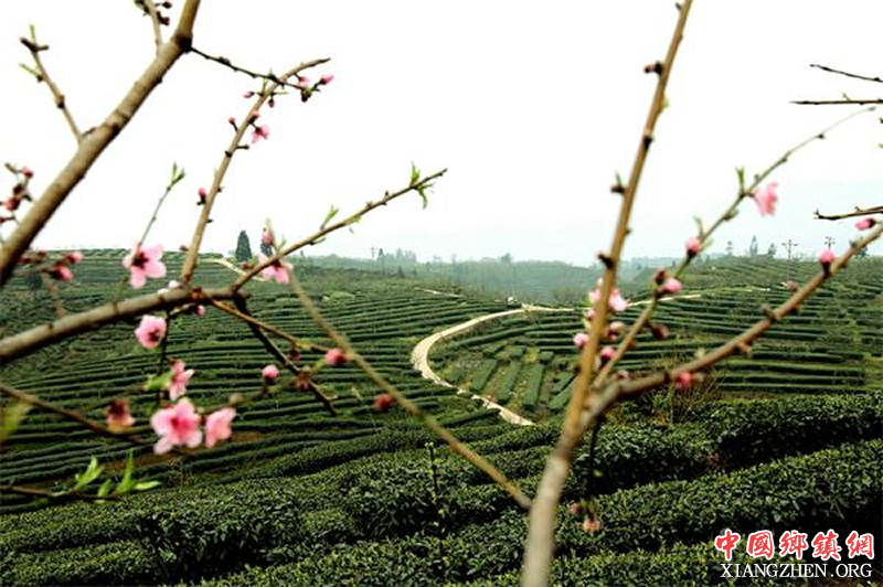 �˱���ɽ�紺���ɡ�ҡǮ���� �ݳ���塰��ζ����