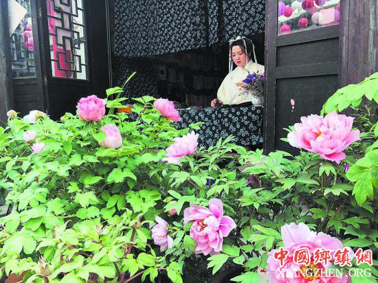 ȥ���ݣ� ����С�� ������ĵ������