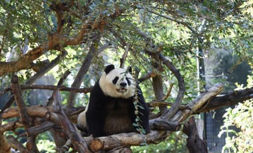 ��������èĸ�ӽ������й�