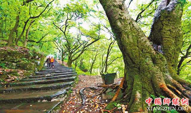 ����ɽ�ǲ��� ��������֮���Ҹ�·