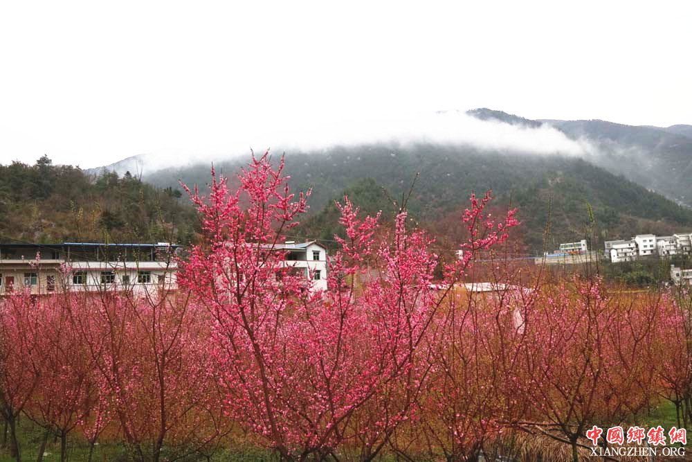 ������ɽԧ��崺���续