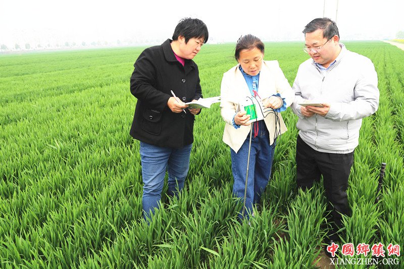 ����򣶫������������������