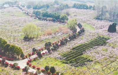 ���ո���ũ�����ϸ�����������á�