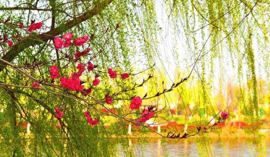 ������Ǩ���飺ʮ���Һ�������