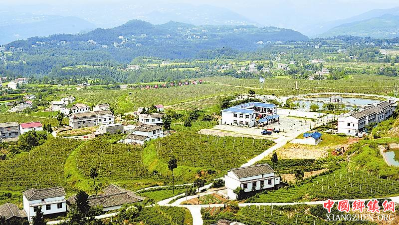 �Ĵ���ʵ�ƽ� ����ũ��Ʒ������ȫ�أ��У�����