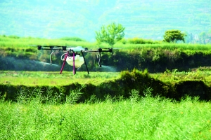 �����̷��������˻�����ũҩ ʵʩ�Ͳ˲��溦����