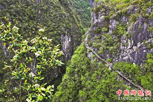 ǭ��������Ͽ�ȴ���Ũ