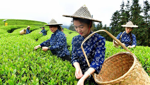 ��̬��԰ ���躰ɽ