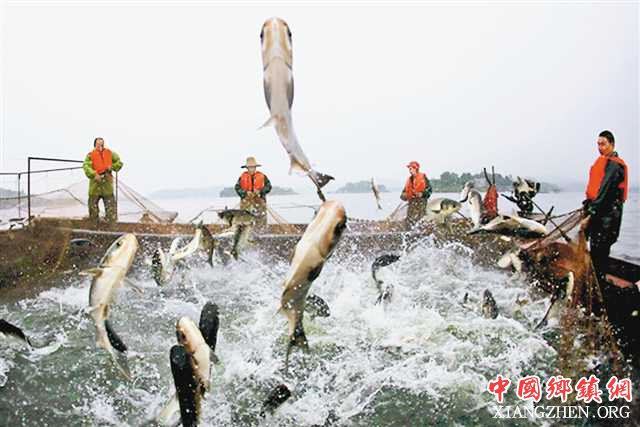 ���ٴ�����������л�ˮ��Ʒ����