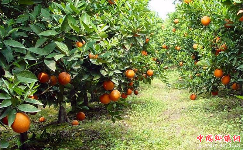 ������족������Ҫ�˶����ڲ�ҵ