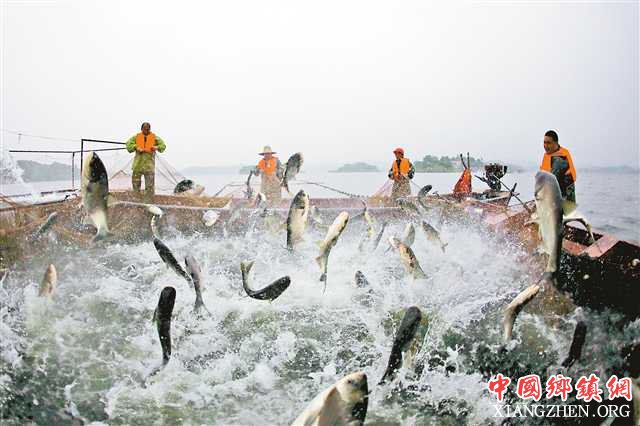 ���������� ������ҵ������̽��