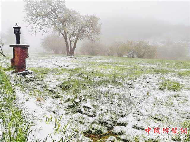 �����ġ� �ǿ�ӭ����ѩ