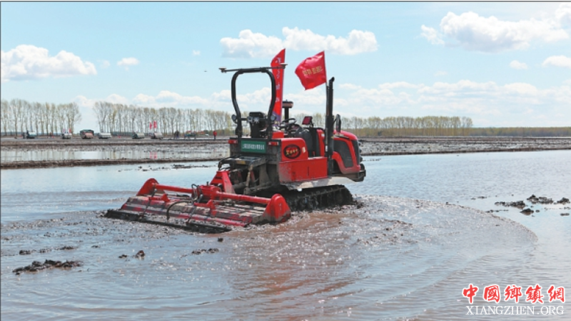 �ҹ�����2019��ũҵȫ����������ҵʵ��