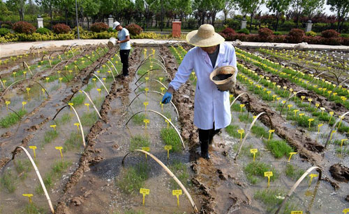 �ൺ��ˮ�� ��������æ