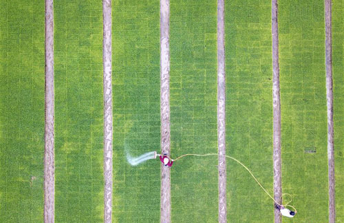 ��ģ��������ũ����