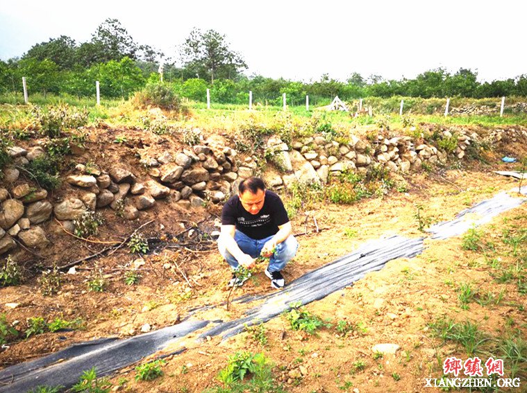 �������������������ٻ��壺��һ���æ�һ������没��