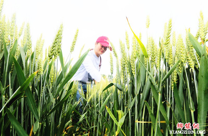 ����򣶫��ȥ�ӳ��� �ᴿ����