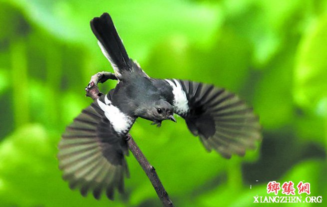 �ɶ��̵� ��������