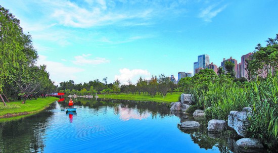 �ɶ���8�У������������� ����������������