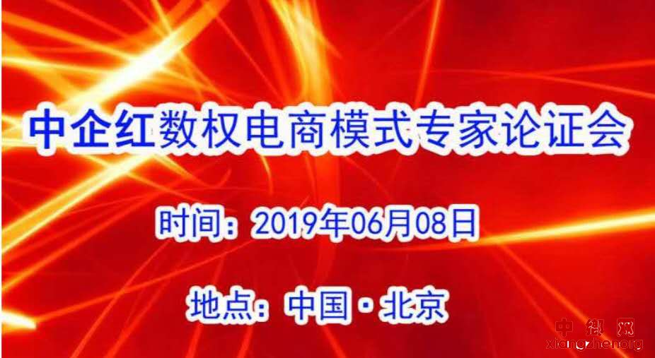 中企红数权电商专家论证会在京举行