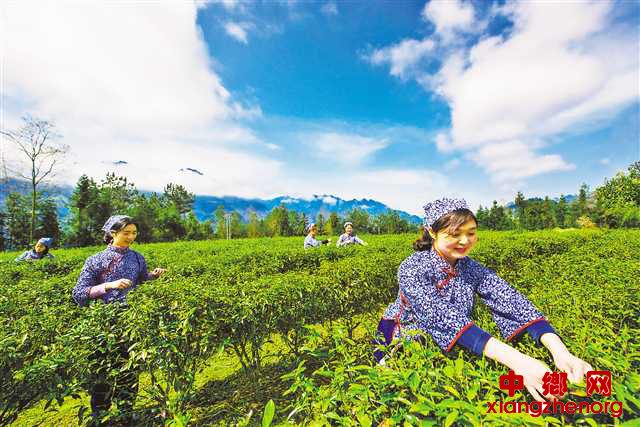 ��ذ���ǧ���ҵ������