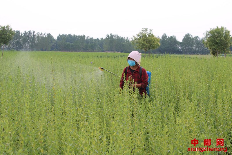 ҩ�Ĺ�������ʱ